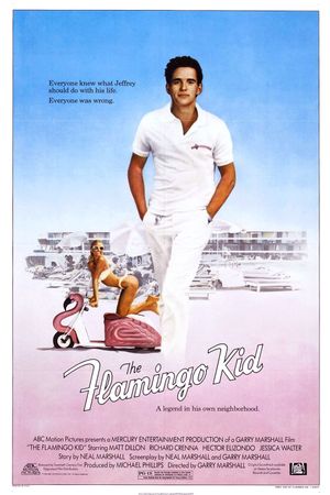 The Flamingo Kid's poster