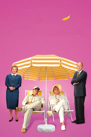 The Birdcage's poster