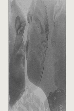 Vis à Vis's poster