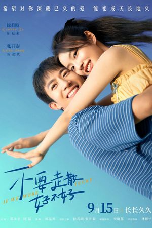 不要走散好不好's poster