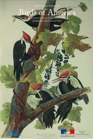 Birds of America's poster