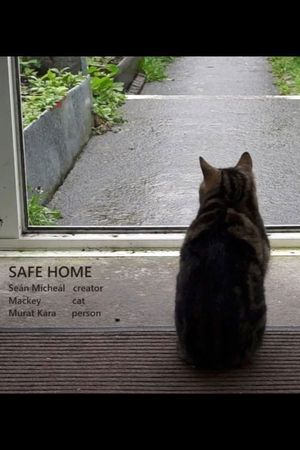 Safe Home's poster