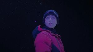 Wings Over Everest's poster