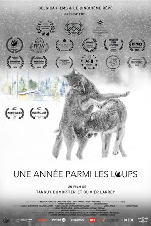 Une année parmi les loups's poster