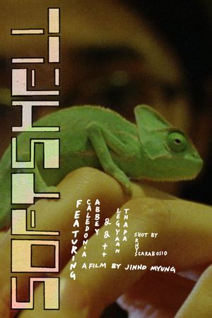 Softshell's poster