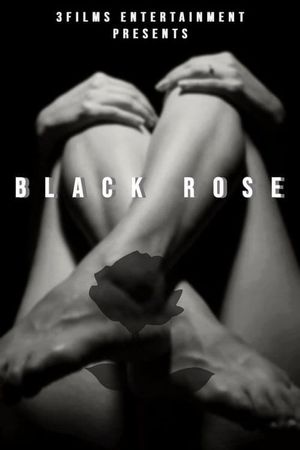 The Black Rose's poster