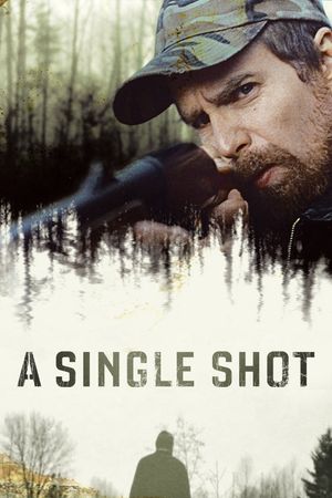 A Single Shot's poster image