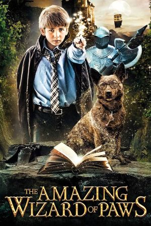The Amazing Wizard of Paws's poster