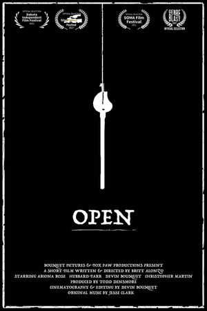 Open's poster