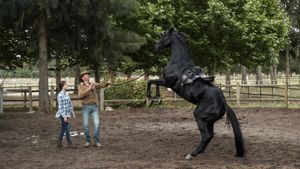 Black Beauty's poster