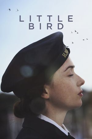 Little Bird's poster