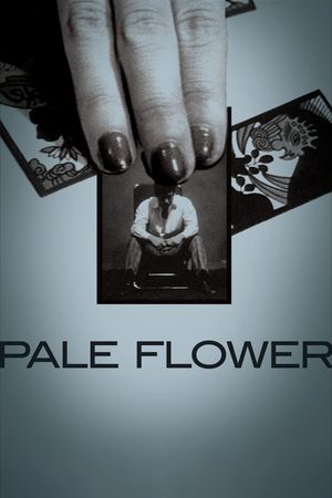Pale Flower's poster