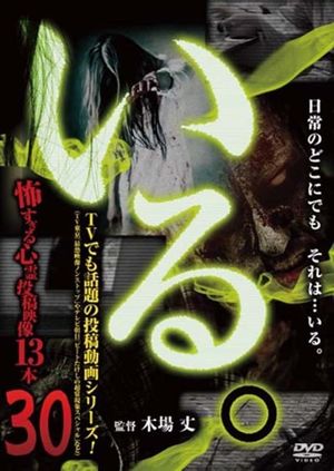 「Iru.」~ Kowasugiru Tōkō Eizō 13-hon ~ Vol.30's poster