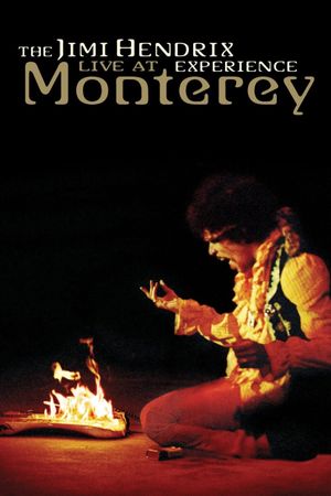 Jimi Plays Monterey's poster