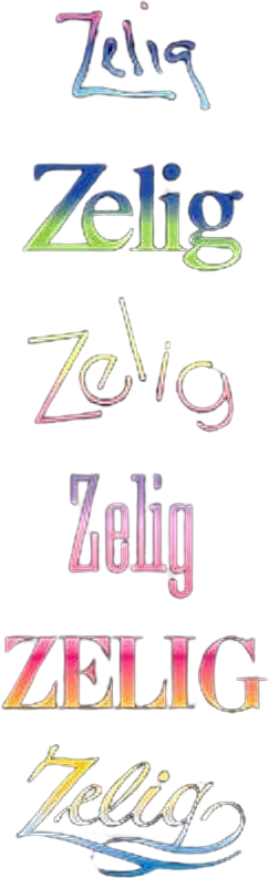 Zelig's poster