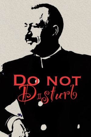 Do Not Disturb's poster