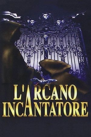 Arcane Sorcerer's poster image
