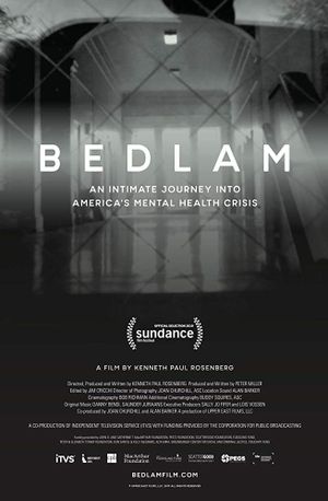 Bedlam's poster
