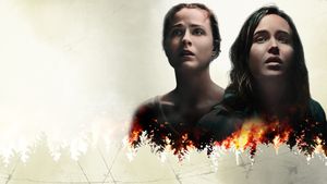 Into the Forest's poster