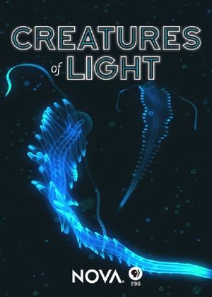 Creatures of Light's poster