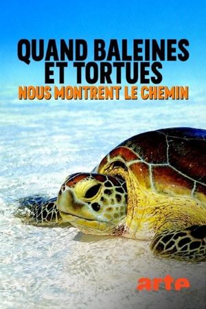 Quand baleines et tortues nous montrent le chemin's poster