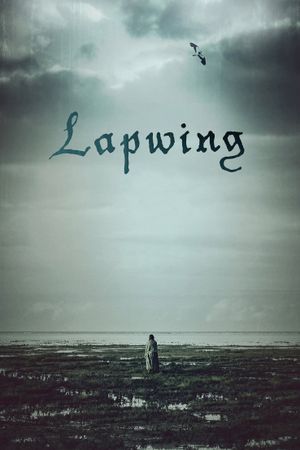 Lapwing's poster