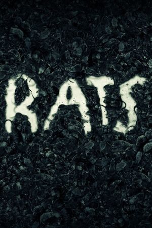 Rats's poster