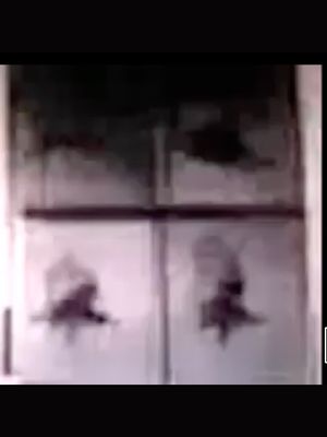 concerning flight's poster