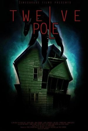 Twelve Pole's poster