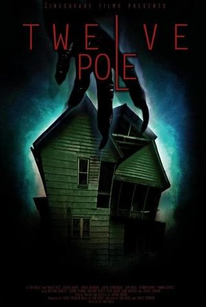 Twelve Pole's poster image