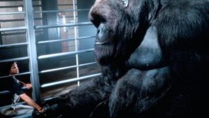 Mighty Joe Young's poster