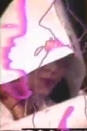 Video Installations 1970-1994's poster