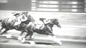 Hollywood Handicap's poster
