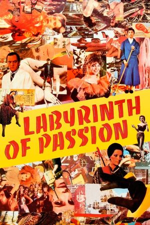 Labyrinth of Passion's poster