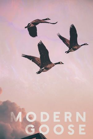 Modern Goose's poster image