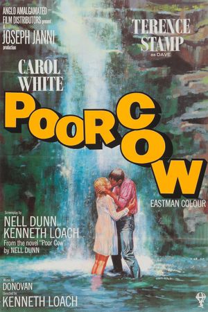 Poor Cow's poster