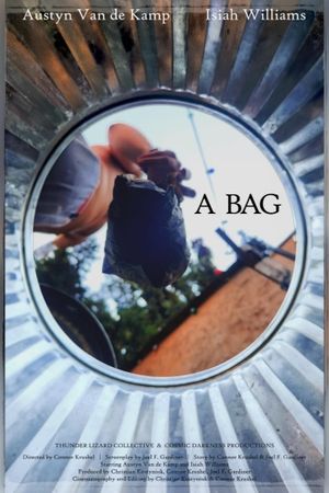 A Bag's poster image