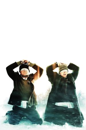 The Saratov Approach's poster