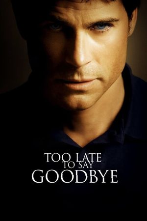 Too Late to Say Goodbye's poster