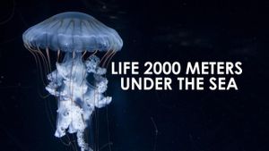 Life 2,000 Meters Under the Sea's poster