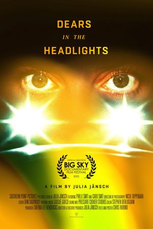 Dears In The Headlights's poster