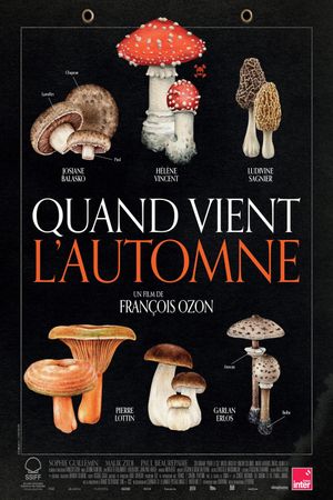 When Fall Is Coming's poster