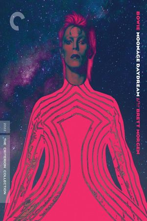 Moonage Daydream's poster