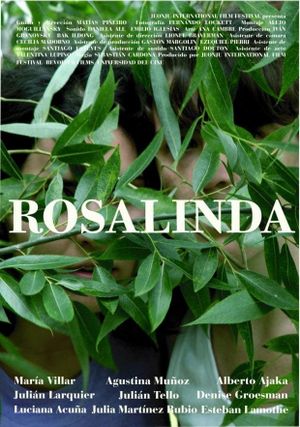Rosalinda's poster