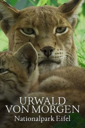 Urwald von morgen – Nationalpark Eifel's poster
