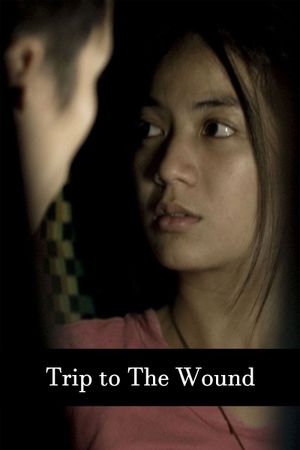 Trip to the Wound's poster