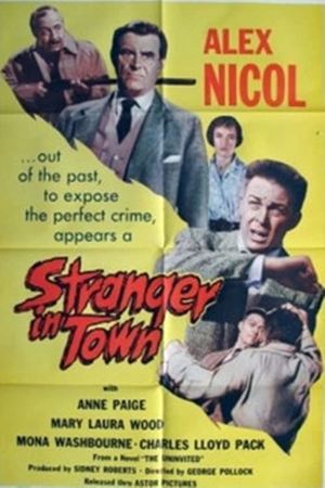 A Stranger in Town's poster