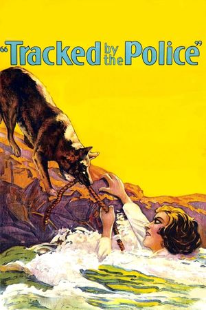 Tracked by the Police's poster