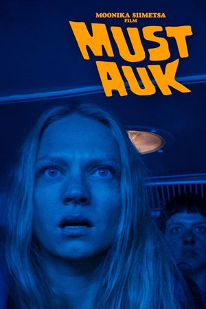 The Black Hole's poster