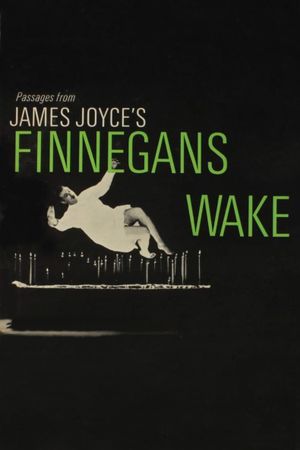 Passages from James Joyce's Finnegans Wake's poster